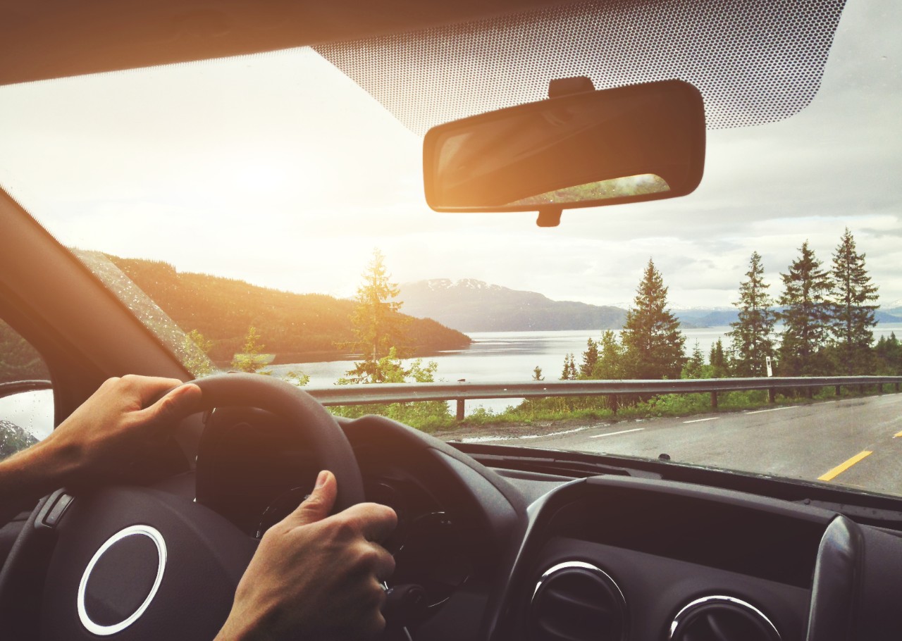 Windshield 